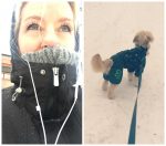Dog @ work
