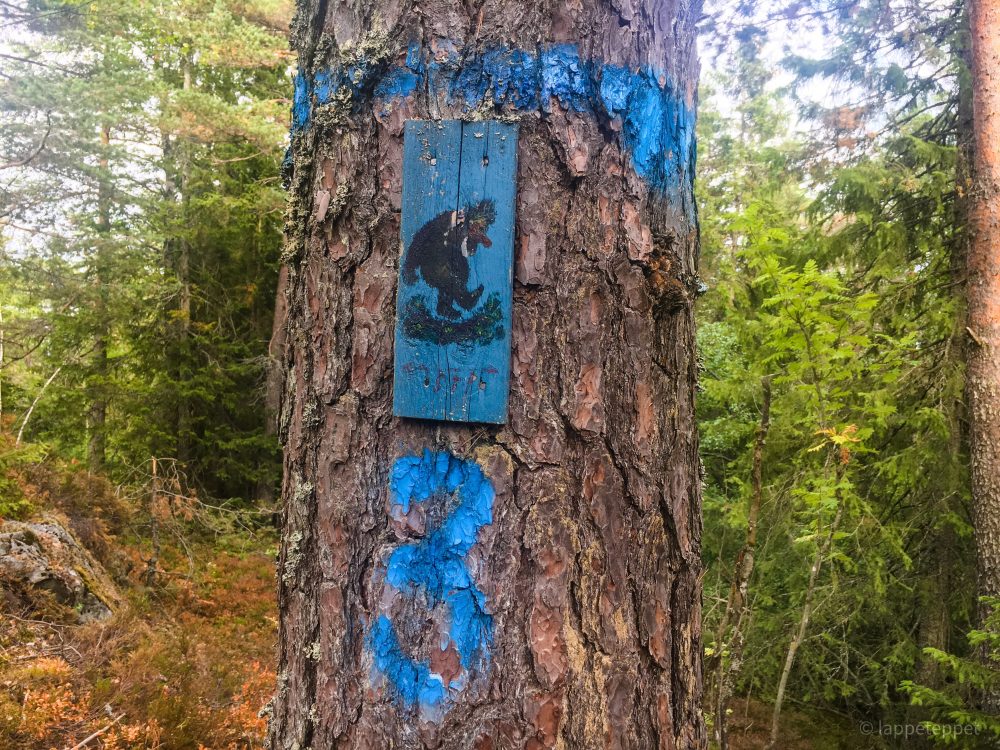 Blåløypa med stutte bein!