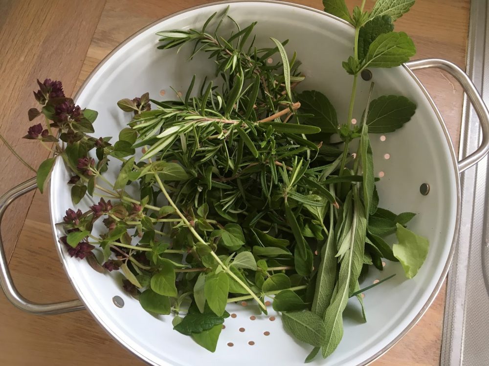 Dagens tips: Urtesalt a’la Furulunden