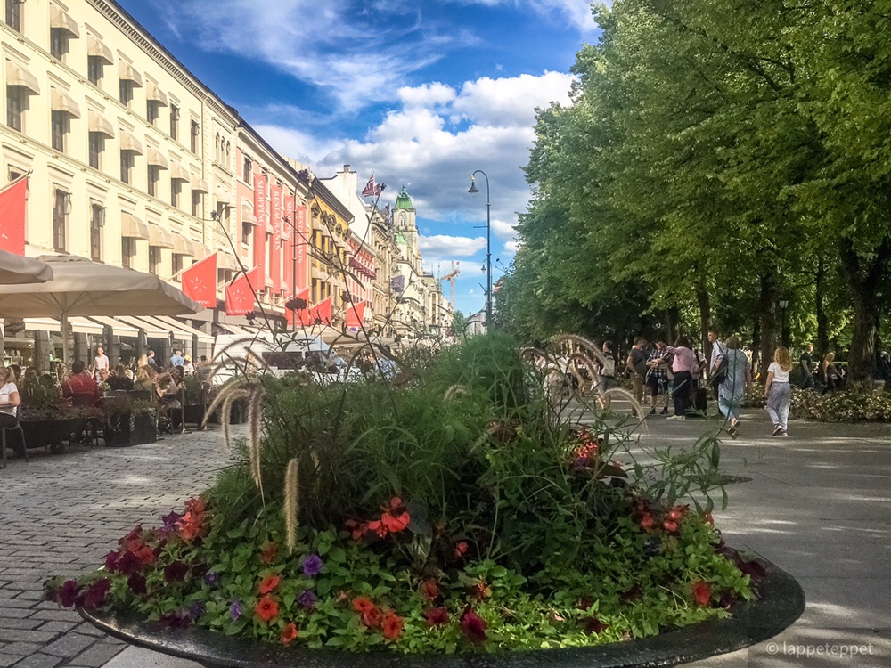 «Barnefri» og mulig vin