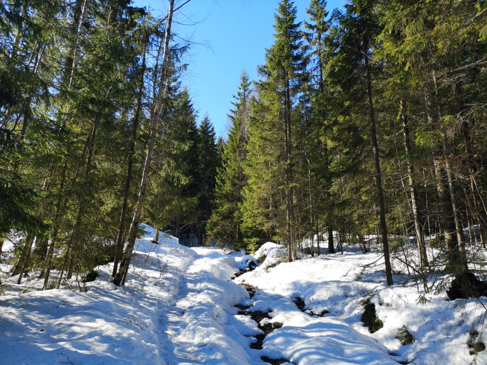 2019-03-23 10.40.48-bjønnåsen