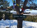 2019-03-23 11.08.57-bjønnåsen