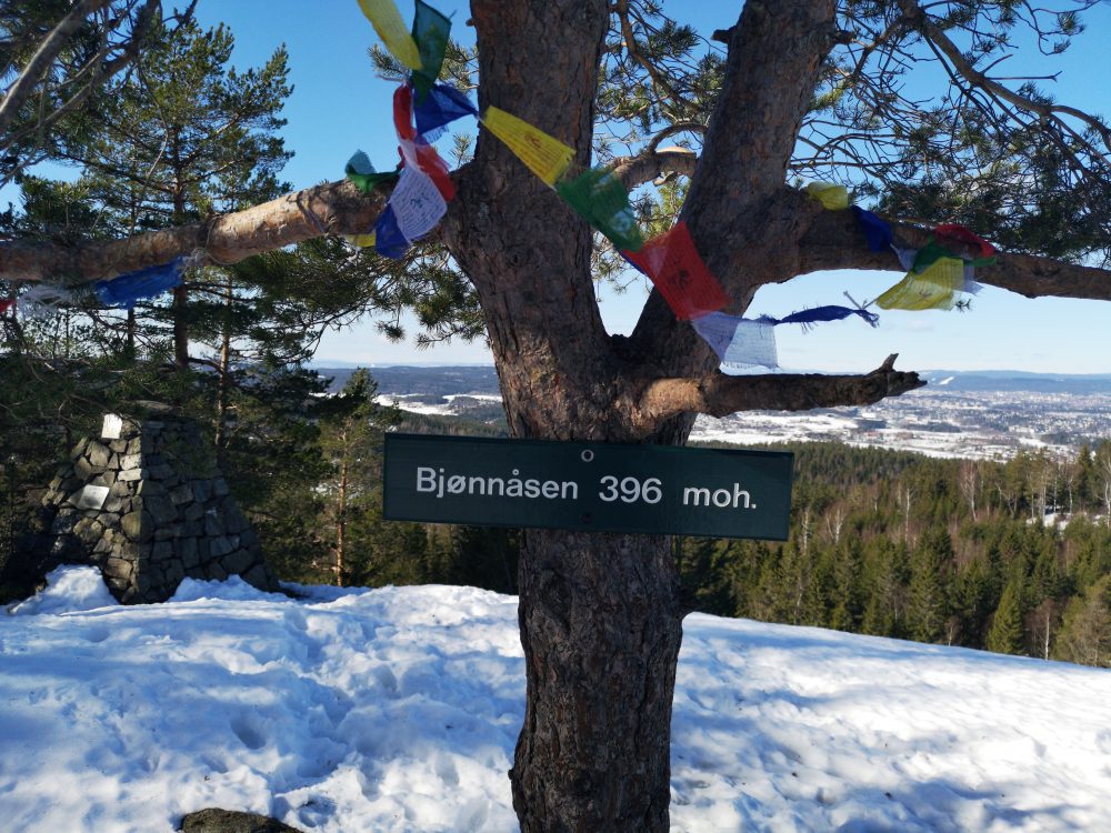 2019-03-23 11.08.57-bjønnåsen