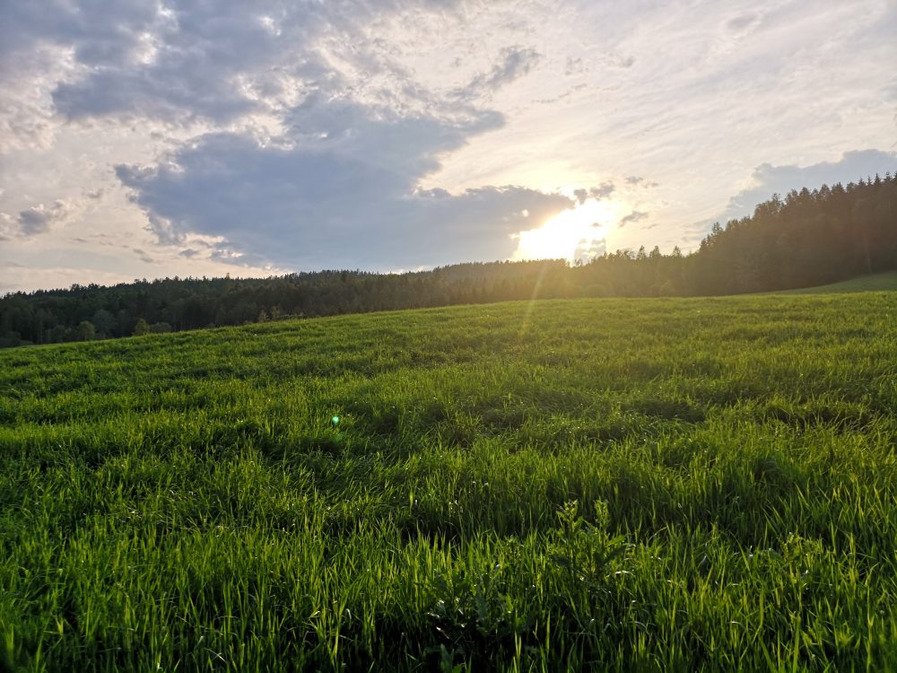 Taterstigen